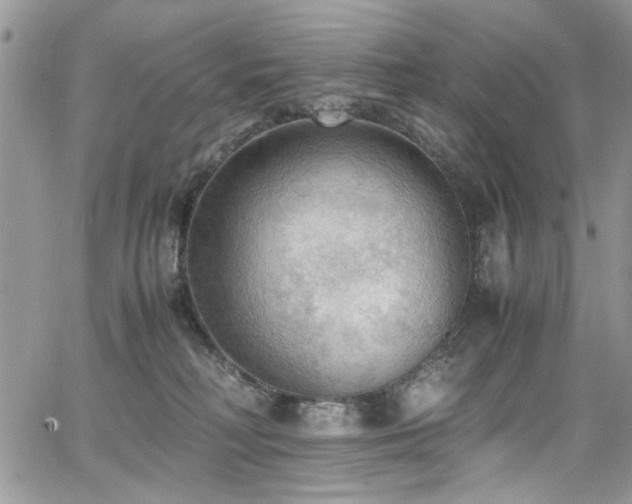 X0000065240230200602171432