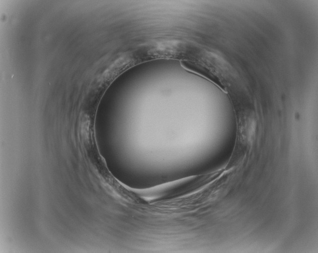 X0000065240231200602171432