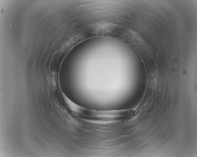 X0000065240232200602171432