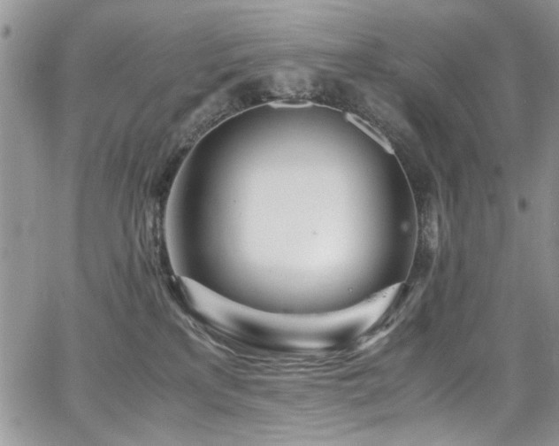 X0000065240233200602171432