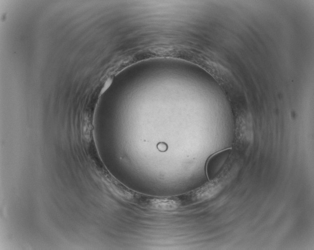 X0000065240234200602171432