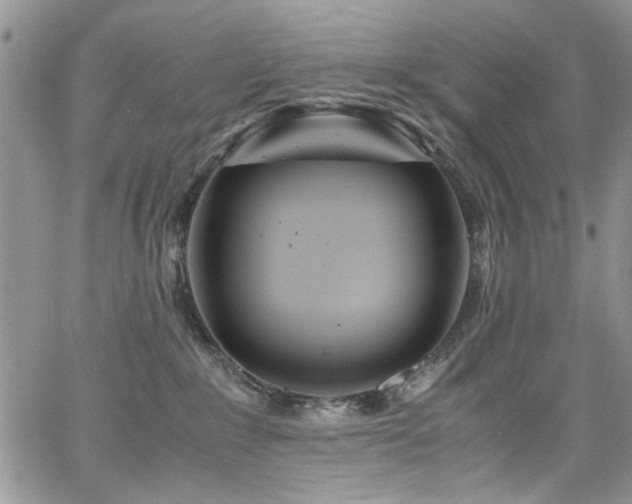 X0000065240235200602171432