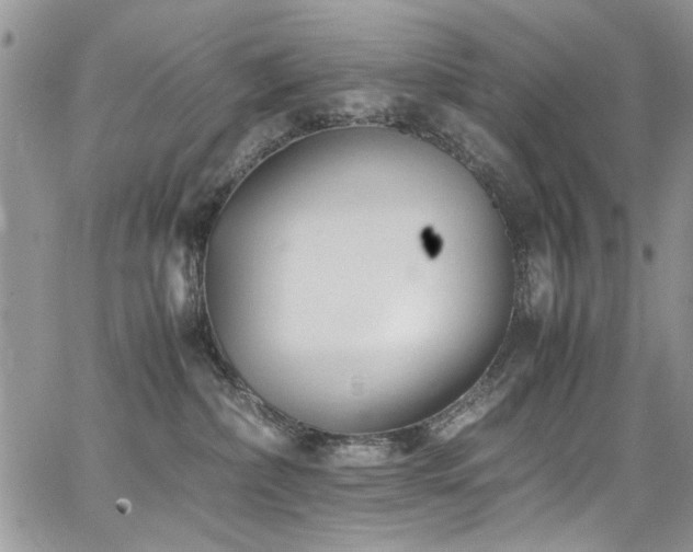 X0000065240236200602171432