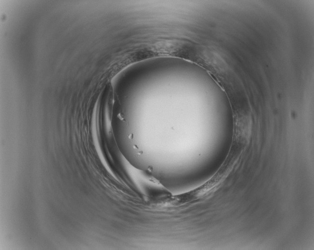 X0000065240237200602171432