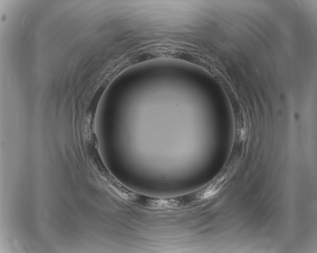 X0000065240239200602171432