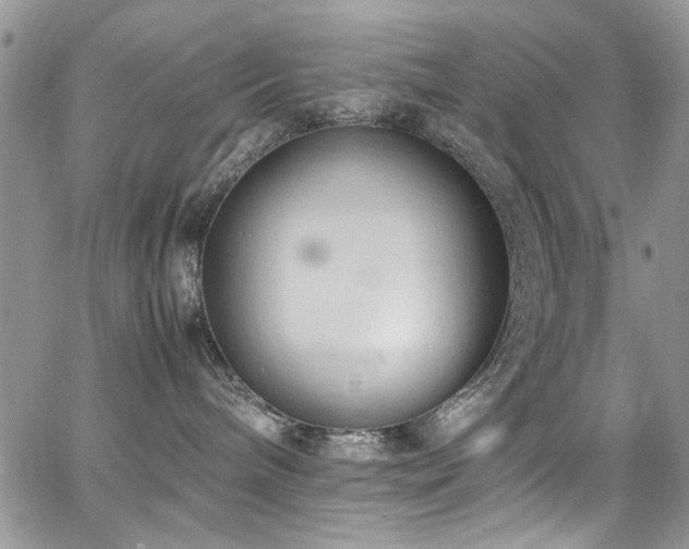 X0000065240240200602171432