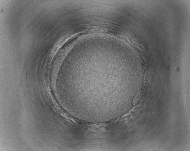 X0000065240241200602171431