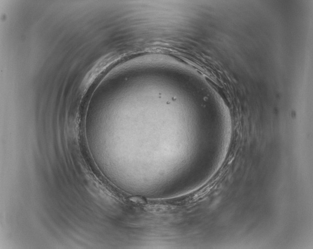 X0000065240242200602171431