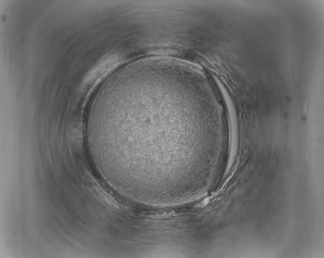 X0000065240243200602171431