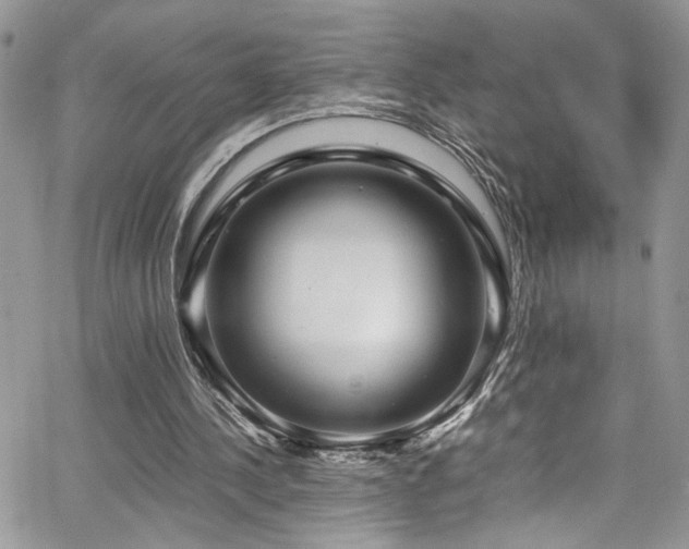 X0000065240244200602171431