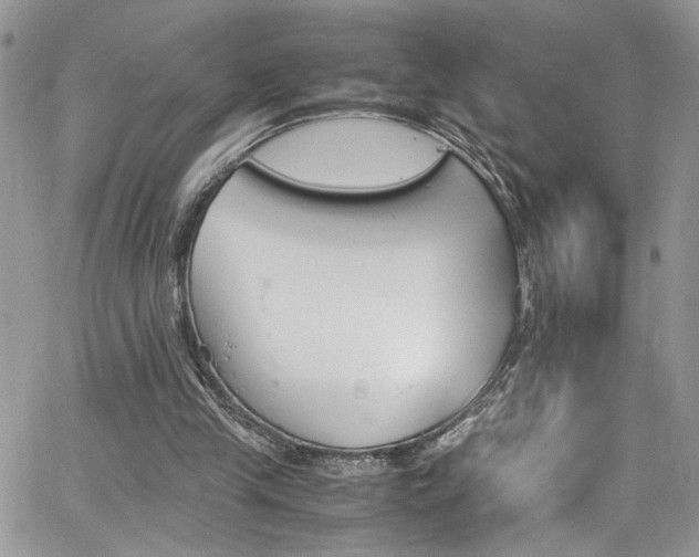 X0000065240245200602171431