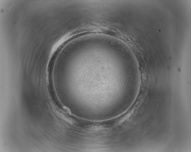 X0000065240246200602171431