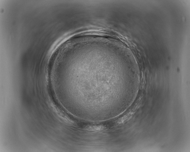 X0000065240247200602171431