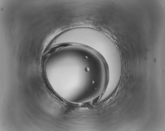 X0000065240248200602171431