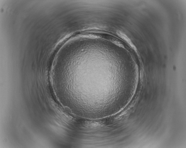 X0000065240249200602171431