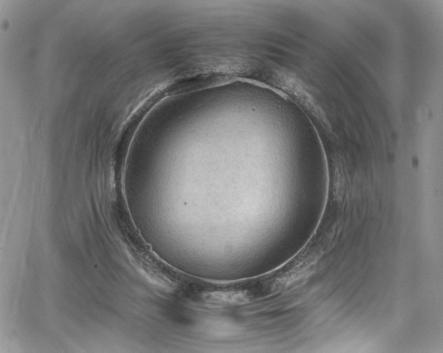 X0000065240251200602171431