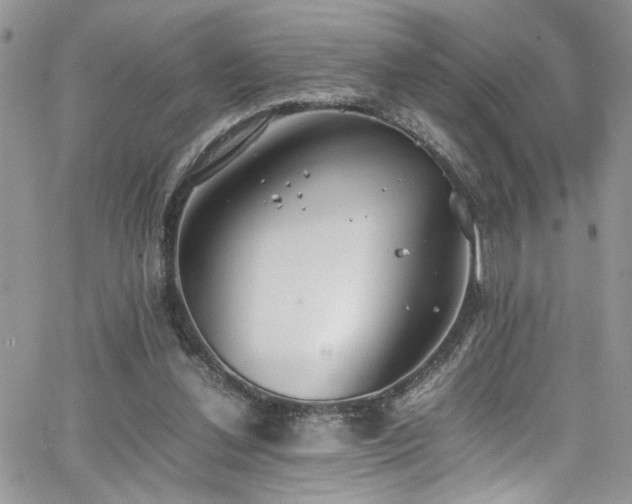 X0000065240252200602171431