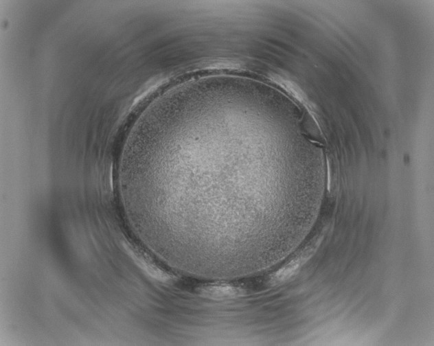 X0000065240253200602171431