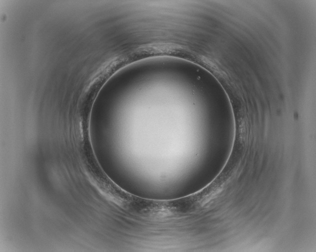 X0000065240254200602171431