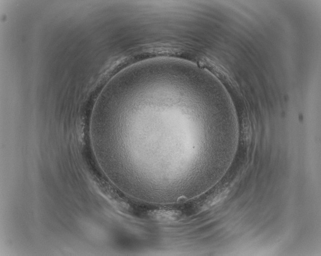 X0000065240255200602171431