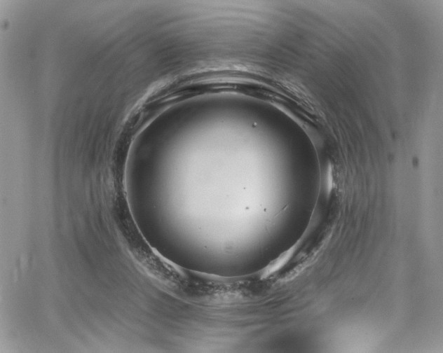 X0000065240256200602171431