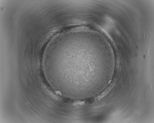 X0000065240257200602171431