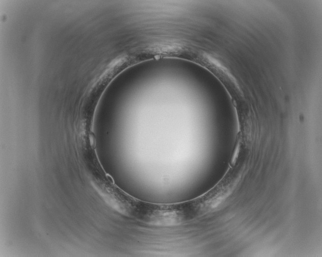 X0000065240260200602171431