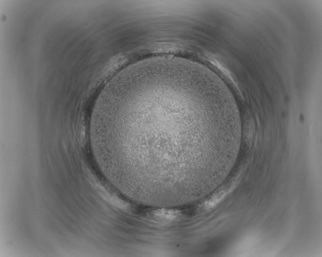 X0000065240261200602171431