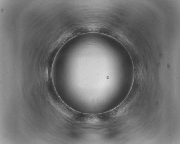 X0000065240262200602171431