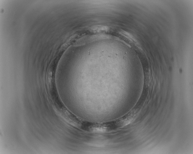 X0000065240263200602171431