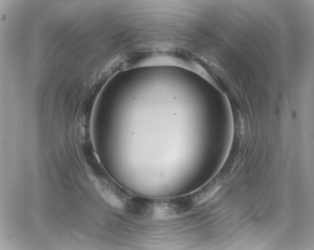 X0000065240264200602171431