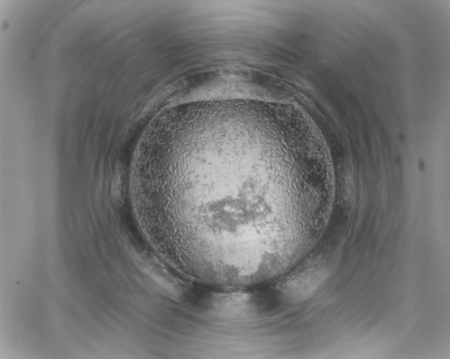 X0000065240266200602171431