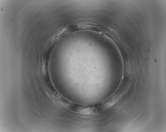 X0000065240267200602171431