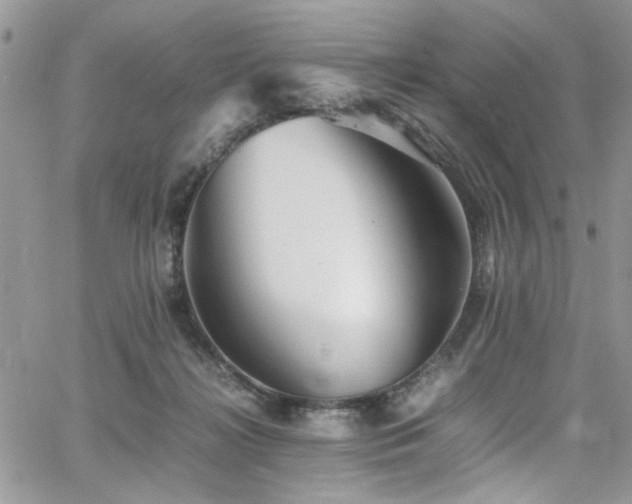 X0000065240268200602171431