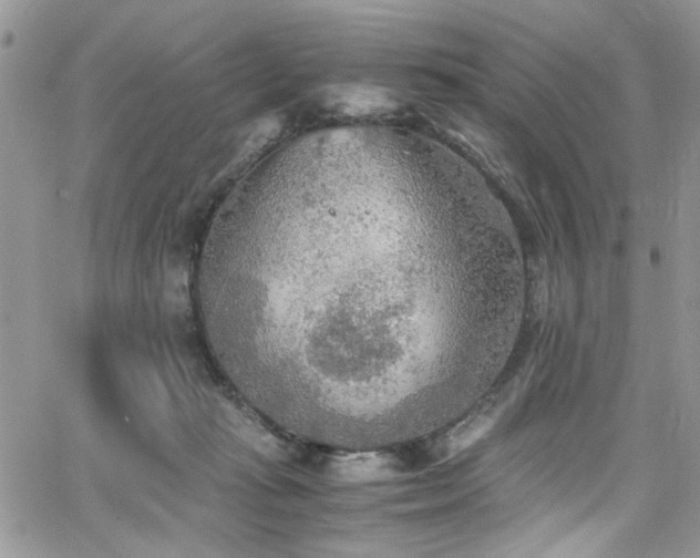 X0000065240269200602171431