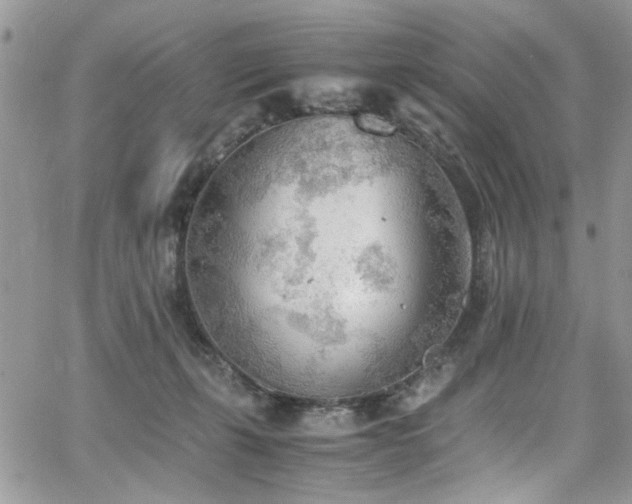 X0000065240271200602171431