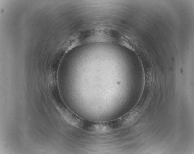 X0000065240272200602171431