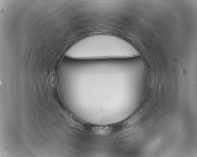 X0000065240273200602171431