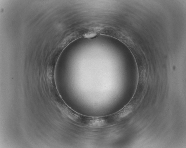 X0000065240274200602171431