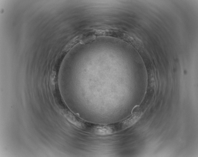 X0000065240275200602171432