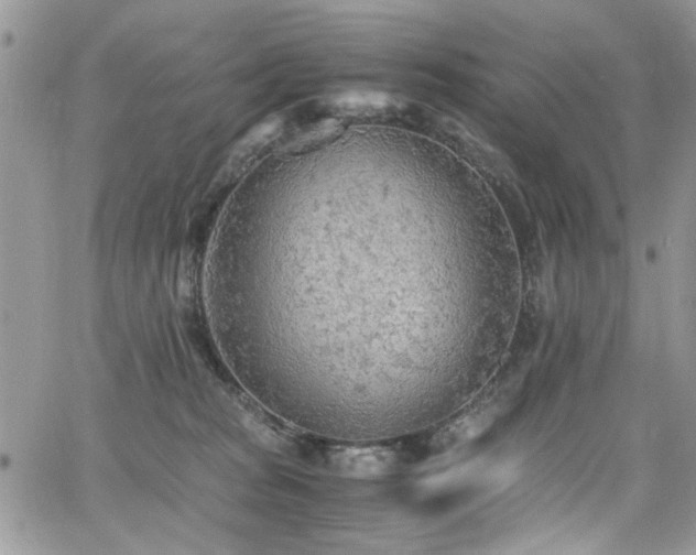 X0000065240277200602171432