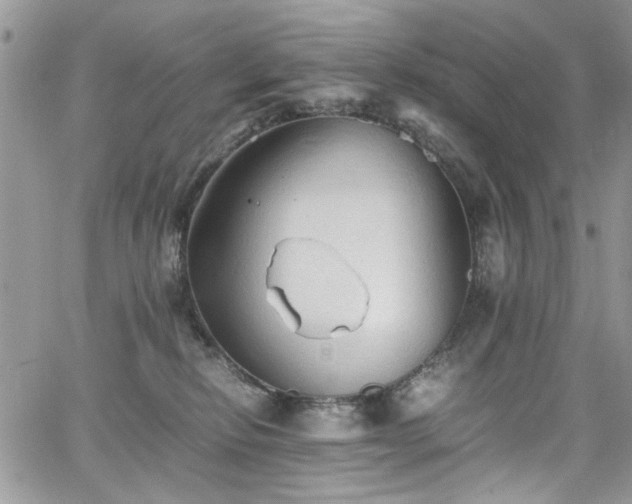 X0000065240278200602171432