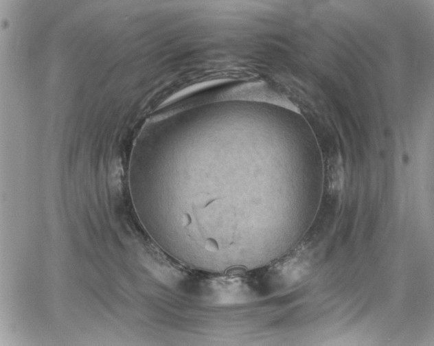 X0000065240279200602171432