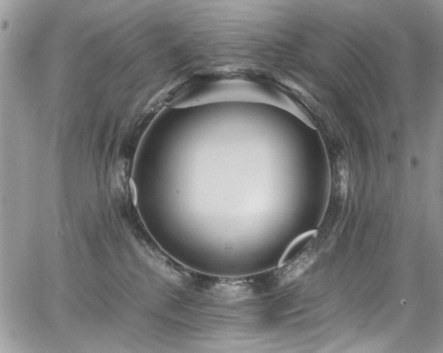 X0000065240280200602171432