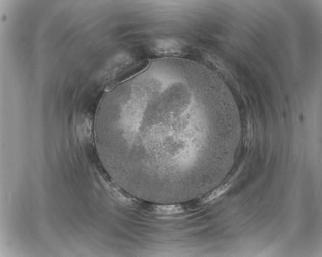 X0000065240281200602171432