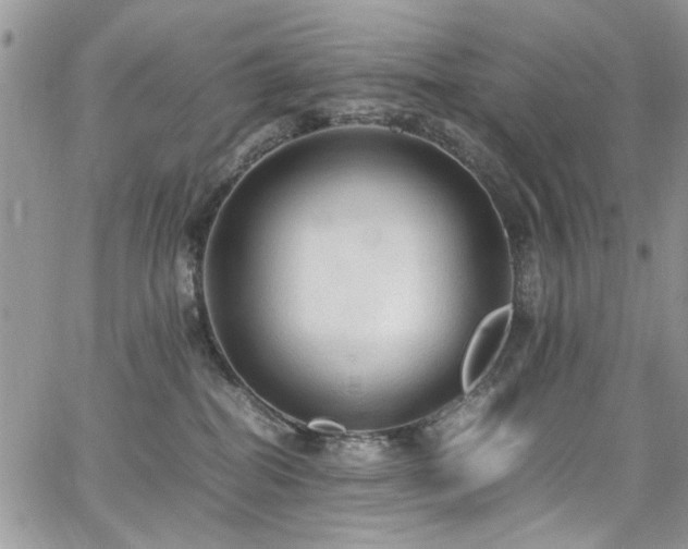 X0000065240282200602171432