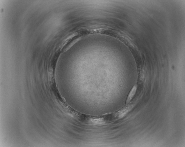 X0000065240283200602171432