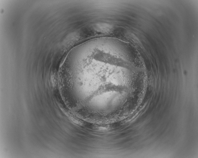 X0000065240285200602171432