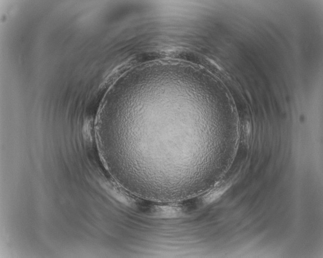 X0000065240286200602171432