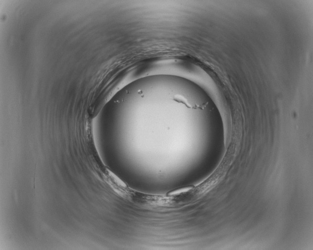 X0000065240288200602171432